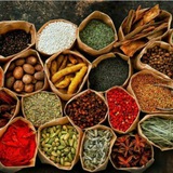 تغذیه و رژیم