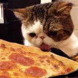 پپرونی 🍕