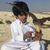 لاّفي