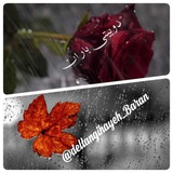 #دوبیتی_باران