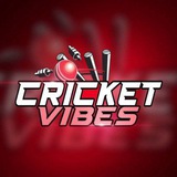 Cricket vibes 🏏 (real)