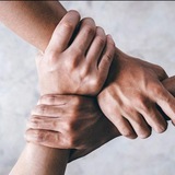 تخصص یاب