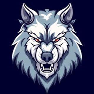 Elite Betting Tips