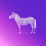 ШУС ZEBRA