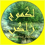 لگموج زاکُن
