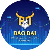 Channel - Bảo Đại Forex Signals 💰