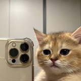 шиз