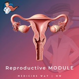 Reproductive Module | MW