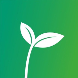 FRESH 🌱 CAFE Лемана Про