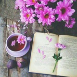 🕊 متنهای قشنگ 📚 <i class="emoji" style="background-imag