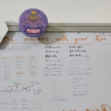 Final proff MBBS π