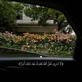 ليَطْمَئِنَ قَلْبِي 🌿