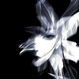 𝒜𝖾𝗌𝗍𝗁︎𝖾𝗍𝗂𝖼︎ تم