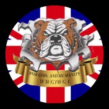 Storm Awaits Britain (Official Channel)