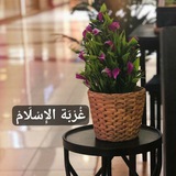 غُرْبَة الإِسْلَامْ 📜 .