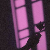 زهرة البنفسج 💜 🍃