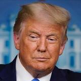 Trump Wins 24