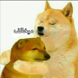 ๐ ู
ููุฎุงููู ๐