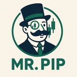 MR | PIP 📊 🎯