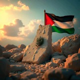 ستوريات، إقتباسات ،حالات واتساب،خواطر، تصميم ، حلات دينيه 🌺 مقاطع دينيه <i class="emoji" style="background-image:url('//telegram.org/img/emoji/40/F09F8D81