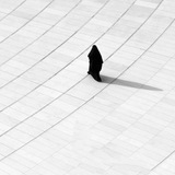 -مکاتبات یک مکتبی
