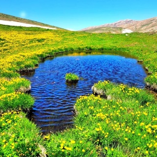 ریاضی یازدهم انسانی (نعمتیان)
