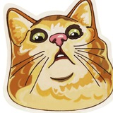 Stickers (Стикернутые)
