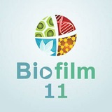 Biofilm_11