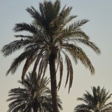 لِعَينيكِ...