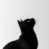 moods.pace