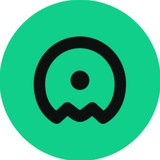 Coinact.gg | Major Market Orders