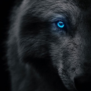 hidden_secrets_theworld