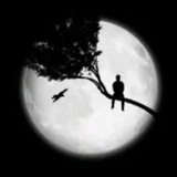 اقتباسات حزينة 🖤