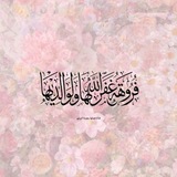 - قَناة: فَرُوهَة 🎀 .