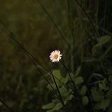 ادعيه قرانيه و اذكار | دعاء 🌿