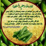 🍃 🍇 طِبُّ الرَسُولِ خاتَمُ الانبِیاءِصَلی اللّهُ عَلَیه