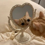 فَضفضهَ١|.