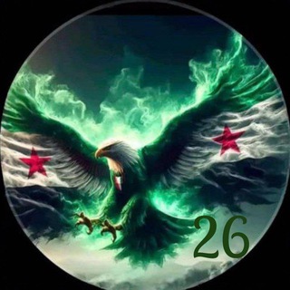 DamasMedLectures26
