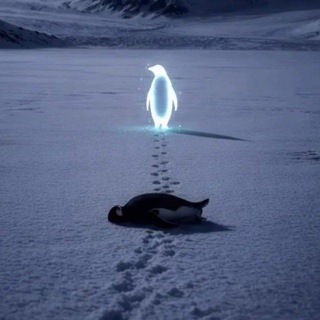 `Destiny