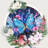 Moon Fantasy π¦ Rilasci & Comunicazioni π¦
