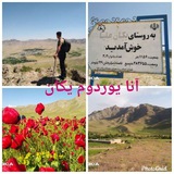 🔥آنـایـــوردوم یکان🔥