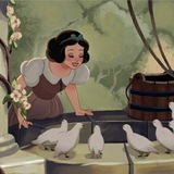 ريشِـة🦢