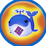 BSC WHALES MOVE DETECTOR 🐳