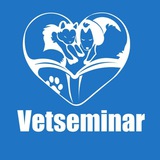 Vetseminar.academy