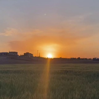 هیچی