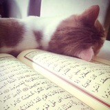 المُصحَف الشَـريفْ.