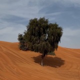 مُش ممكن!