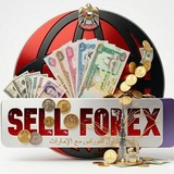 King Forex 🇦🇪 🇸🇦