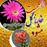 𒆜 🧜♂ از مُحَبَت خارها گُل میشَوَد 🧜♂</
