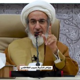 الشيخ حبيب الكاظمي